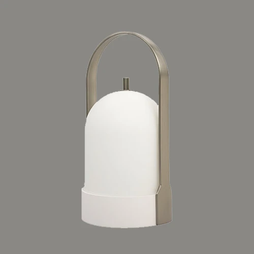 چراغ شارژی 2 وات نور 3000k کد C253/ - نیکل